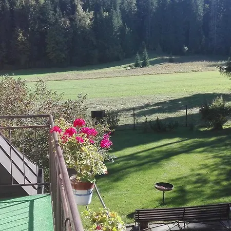 Pokoje goscinne na Gasienicowym Potoku-2